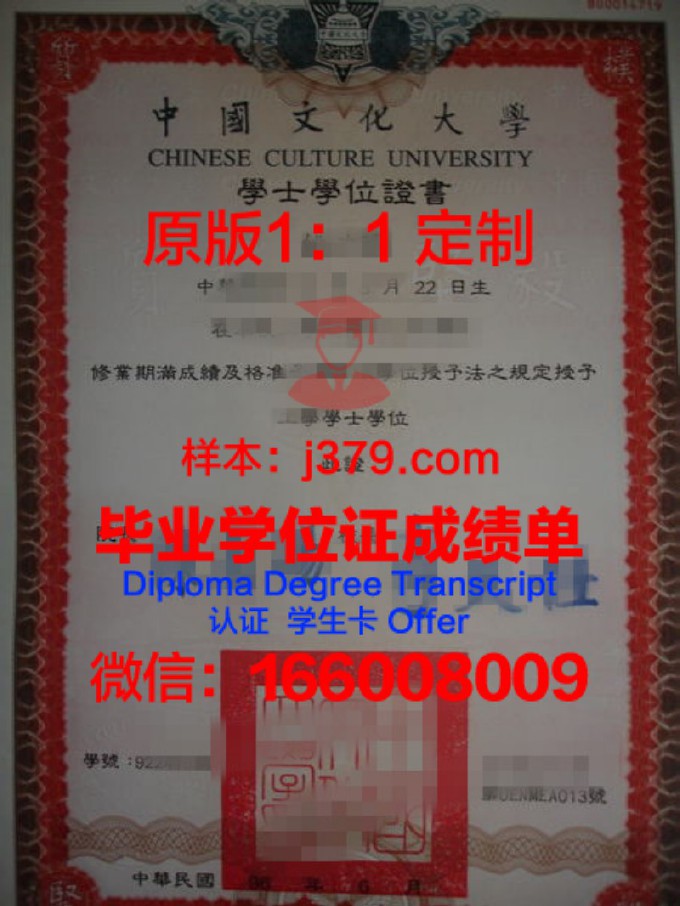 国外学历现在还可以买吗(在国外的学历可以在中国有用吗)